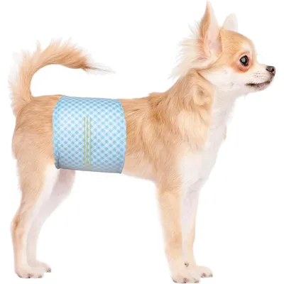 Lot de 20 Couches jetables pour Chien mâle Lot de 20 Couches jetables pour Chien mâle
