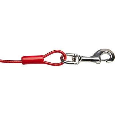 Basics Câble d'attache pour chiens, 5 m, Rouge Basics Câble d'attache pour chiens, 5 m, Rouge
