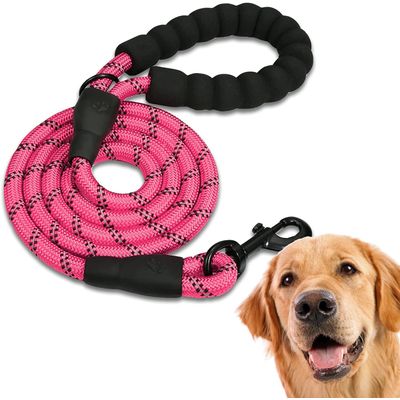 Laisse de Dressage pour Chien, Rembourrée, Poignée，Rose