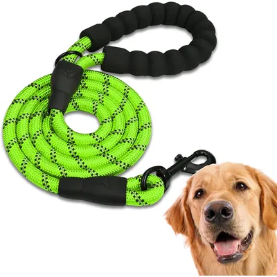 Laisse de Dressage pour Chien, Rembourrée, Poignée,Vert Laisse de Dressage pour Chien, Rembourrée, Poignée,Vert