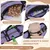 Laisse Main Libre Chien avec Ceinture Réglable et Sac Banane Laisse Main Libre Chien avec Ceinture Réglable et Sac Banane
