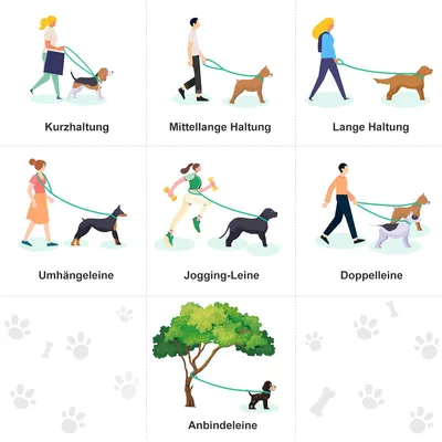 Laisse pour Chien en Nylon et des Fils réfléchissants, 2,5 m Noire Laisse pour Chien en Nylon et des Fils réfléchissants, 2,5 m Noire