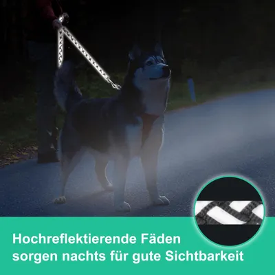 Laisse pour Chien en Nylon et des Fils réfléchissants, 2,5 m Noire Laisse pour Chien en Nylon et des Fils réfléchissants, 2,5 m Noire