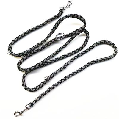 Laisse pour Chien en Nylon et des Fils réfléchissants, 2,5 m Noire