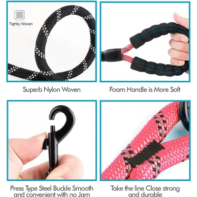 Laisse de Dressage pour Chien, Rembourrée, Poignée,Rose Laisse de Dressage pour Chien, Rembourrée, Poignée,Rose