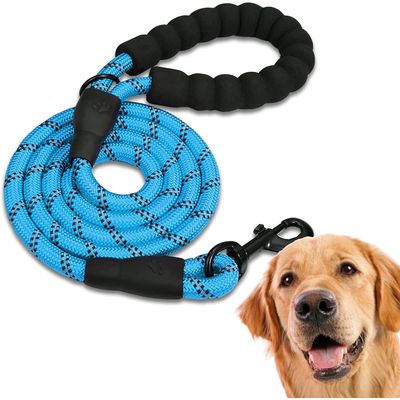 Laisse de Dressage pour Chien, Rembourrée, Poignée，Bleu