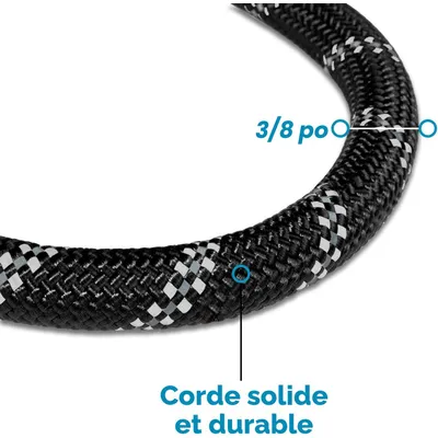 Laisse de Dressage pour Chien, Rembourrée, Poignée,Noir Laisse de Dressage pour Chien, Rembourrée, Poignée,Noir