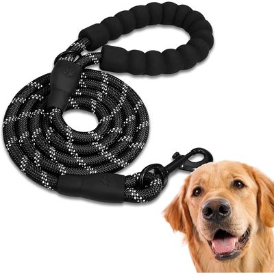 Laisse de Dressage pour Chien, Rembourrée, Poignée，Noir