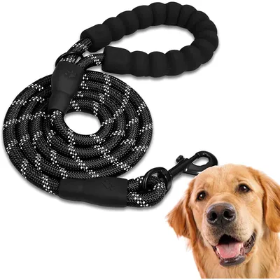 Laisse de Dressage pour Chien, Rembourrée, Poignée,Noir Laisse de Dressage pour Chien, Rembourrée, Poignée,Noir