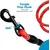 Laisse de Dressage pour Chien, Rembourrée, Poignée,Rouge Laisse de Dressage pour Chien, Rembourrée, Poignée,Rouge