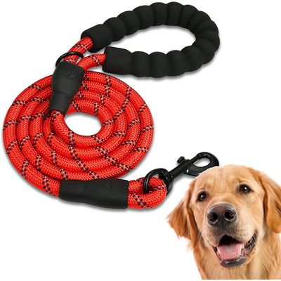 Laisse de Dressage pour Chien, Rembourrée, Poignée，Rouge