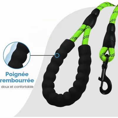 Laisse de Dressage pour Chien, Rembourrée, Poignée,Vert Laisse de Dressage pour Chien, Rembourrée, Poignée,Vert