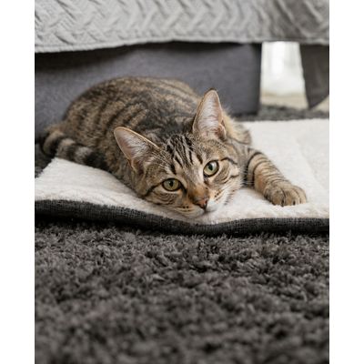 lionto couverture réversible pour chat, lavable et isolante