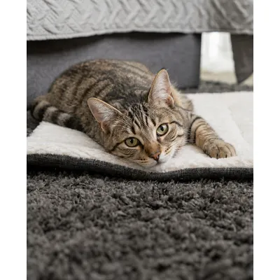 lionto Wendedecke für Katzen, weich, waschbar und wärmeisolierend