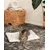 lionto Wendedecke für Katzen, weich, waschbar und wärmeisolierend lionto Wendedecke für Katzen, weich, waschbar und wärmeisolierend