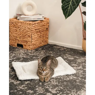 lionto Wendedecke für Katzen, weich, waschbar und wärmeisolierend lionto Wendedecke für Katzen, weich, waschbar und wärmeisolierend