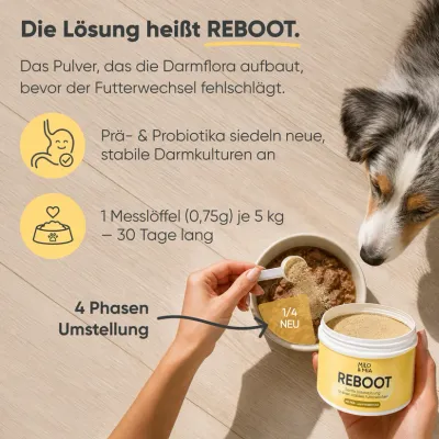 Reboot - 30 Tage-Kur zur Futterumstellung 150g Reboot - 30 Tage-Kur zur Futterumstellung 150g