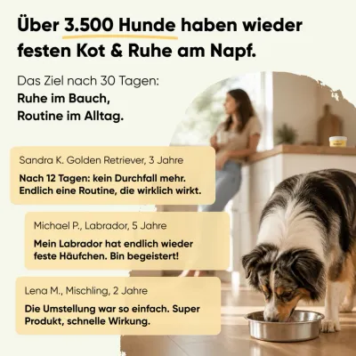 Reboot - 30 Tage-Kur zur Futterumstellung 150g Reboot - 30 Tage-Kur zur Futterumstellung 150g