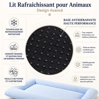 Yommy Tapis Refroidissant en Soie Glacée pour Chiens et Chats