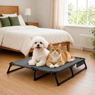Yommy | Lit Surélevé pour Chien | Pliable et Respirant