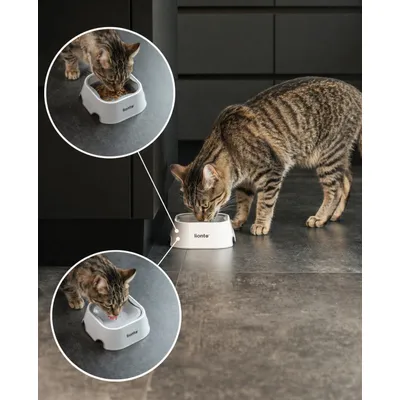 lionto Anti-Spritz-Katzennapf, rutschfest und 2-in-1
