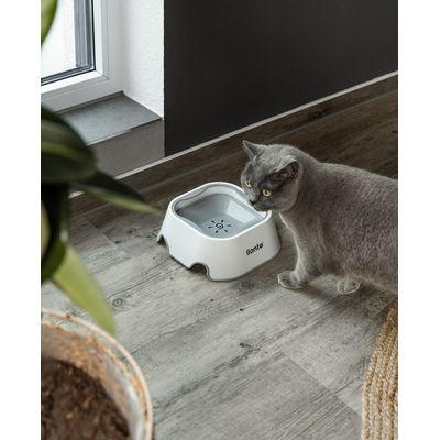 lionto gamelle anti-éclaboussures pour chat, antidérapante 2-en-1