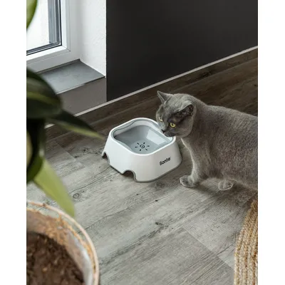 lionto Anti-Spritz-Katzennapf, rutschfest und 2-in-1