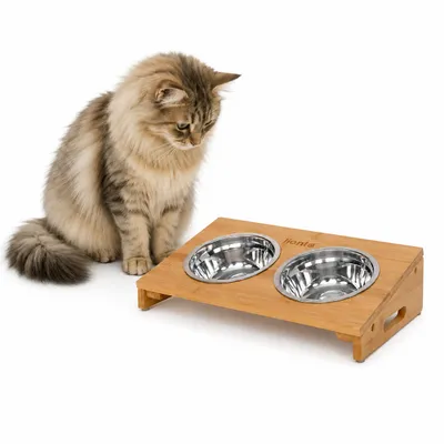 lionto erhöhter Katzennapf aus Bambus, ergonomisch und rutschfest