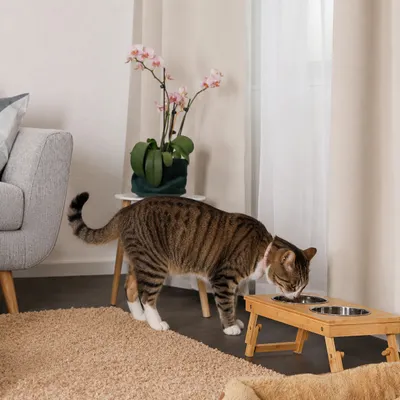 lionto höhenverstellbarer Katzennapf aus Bambus mit 2 Edelstahlnäpfen lionto höhenverstellbarer Katzennapf aus Bambus mit 2 Edelstahlnäpfen