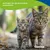 Canina Katzenmilch Canina Katzenmilch