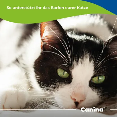 Canina Barfers Best for Cats