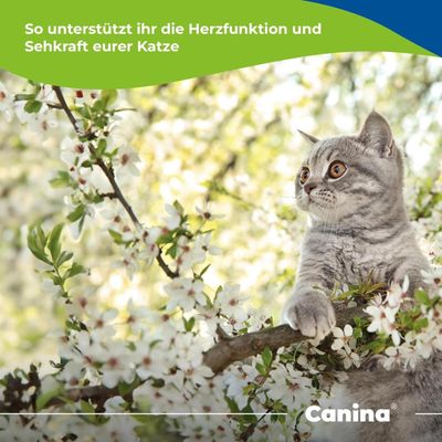 Canina Taurin für Katzen 100g