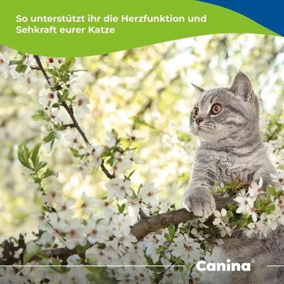 Canina Taurin für Katzen 100g Canina Taurin für Katzen 100g