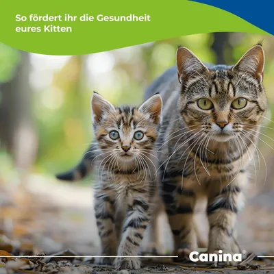 Canina Katzenmilch