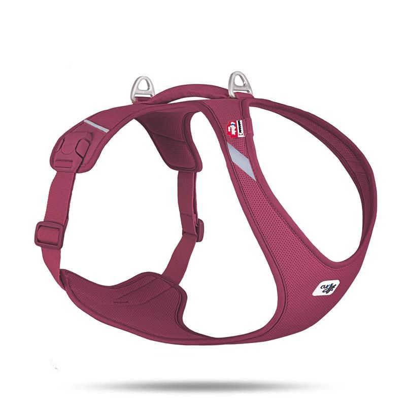 Curli All New Belka Comfort Ruby