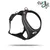 Curli Belka Comfort Geschirr XS Curli Belka Comfort Geschirr XS