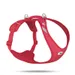 Curli All New Belka Comfort Red