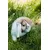 Canina Petvital Verminex Shampoo Canina Petvital Verminex Shampoo