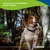 Canina Petvital Verminex Shampoo Canina Petvital Verminex Shampoo