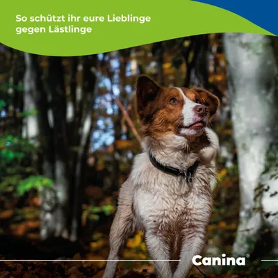 Canina Petvital Verminex Shampoo Canina Petvital Verminex Shampoo