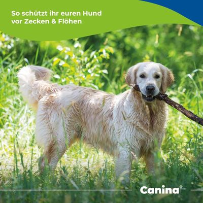 Canina Petvital Novermin für kleine Hunde