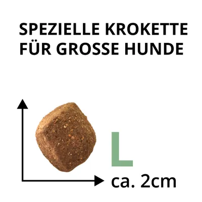 Wildsterne Breed Adult L