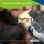 Canina Petvital Bio Fresh & Clean Konzentrat