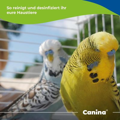 Canina Capha DesClean Spray