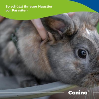Canina Petvital Bio-Insect-Shocker