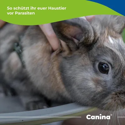 Canina Petvital Bio-Insect-Shocker Canina Petvital Bio-Insect-Shocker