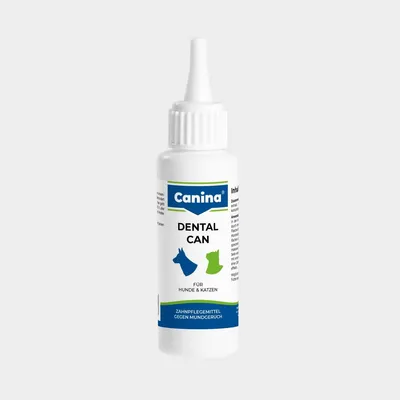 Canina Dental Can Canina Dental Can