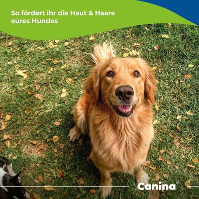 Canina Biotin Forte Tabletten