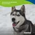 Canina Winter Pfotenbalsam Canina Winter Pfotenbalsam
