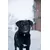 Canina Winter Pfotenbalsam Canina Winter Pfotenbalsam
